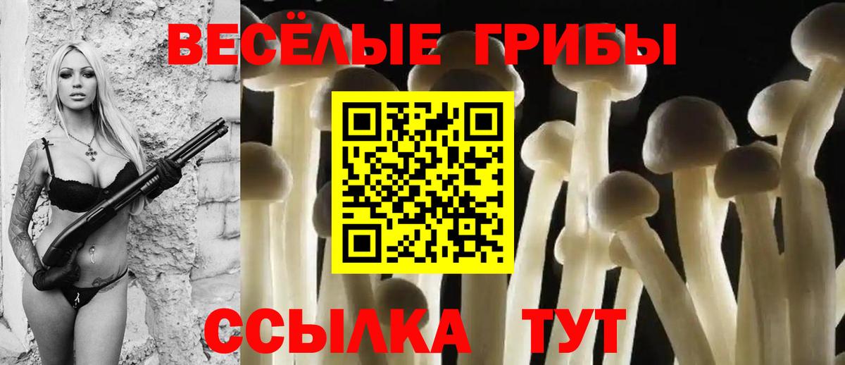 Галлюциногенные грибы мицелий  Вход с VPN  Карасук 