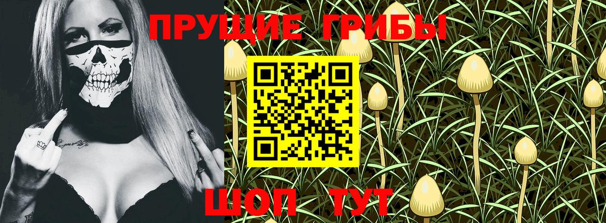 Галлюциногенные грибы GOLDEN TEACHER Карасук